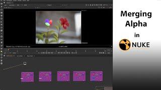what's the correct way of merging Alpha together in Nuke's.