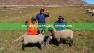 Southern Peru Copper Corporation - Proyecto Tia Maria