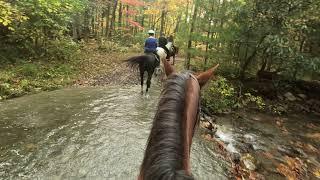 Cades Cove Horse Back Riding 2 Autumn 2020