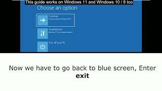 How to Fix Blue Screen Error 0xc00000e9 on Windows 11