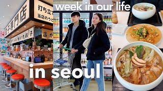 seoul vlog  korean grocery store tour & expensive fruit  scary culture shock, japanese udon