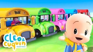 Las ruedas del bus de colores  y más canciones infantiles para bebés con Cleo y Cuquín