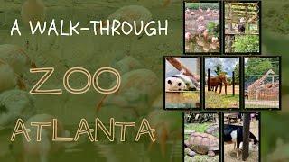 Full walkthrough of Zoo Atlanta