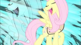 Flutterstep Hummingbird - Somepon3