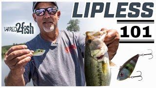 Lipless Crankbait Versatility with Scott Suggs