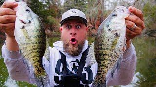 WINTER CRAPPIE FISHING FROM THE BANK IN FEBRUARY‼️ JIG & BOBBER