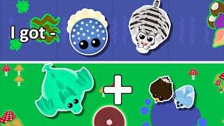 Getting WS Jellyfish and Snow Tiger + Dragon and GE Trolling (IM BACK) #roams.io #roams