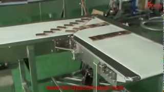 Cross Diverting Conveyor ( 90 degree )