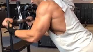 Back & TRICEPS workout 