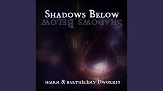 Shadows Below (feat. Barthélémy Dworkin)