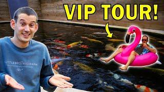 750,000 FISH! - Inside England’s BEST Koi Breeder (Private tour)