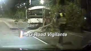 1jan2025 yishun ave 8 private bus drove up the road divider and crash into the tree