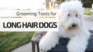 Stainless Steel Comb┃Tools You NEED for Grooming Your Long Hair Dogs┃Ed&Mel