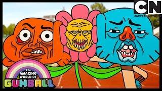 Gumball | The Petals | Cartoon Network