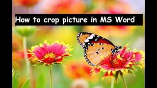 How to crop image / picture in MS Word 2013 | ms word photo editing