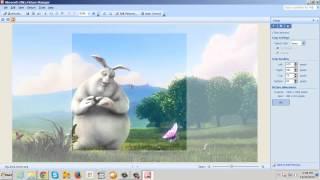 How to Crop Image in Microsoft Office Picture Manager