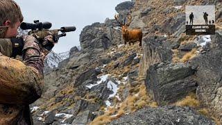 THE BIGGEST STAG WE’VE EVER SEEN! We got him! New Zealand mountain red stag hunting.