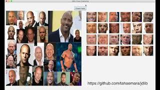 Face Clustering Using Jdlib
