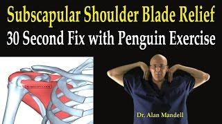 Subscapular Shoulder Blade Relief (30 Second Fix with Penguin Exercise) - Dr Mandell