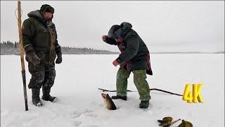 СКАЗОЧНАЯ РЫБАЛКА С ХОРОШЕЙ КОМПАНИЕЙ В МОРОЗ | ЖЕРЛИЦЫ ПАЛКИ | 1 ЧАСТЬ