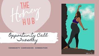 28 April 2020 Honey Hub Opportunity Call