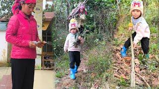 After collecting firewood, the mother took her daughter to school and worried about tuition fees.