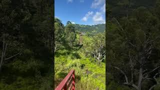 Kathy Zip Line2