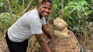 Practical guide to setup your snailfarm using car tyres #snailfarming