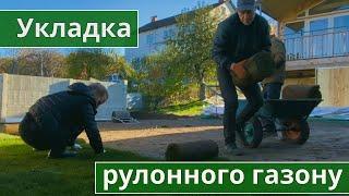 Укладка рулонного газону. Газон под ключ. | Киев | Экомир Украина