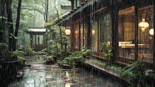 The Best Lullaby Sound of Rain in a forest