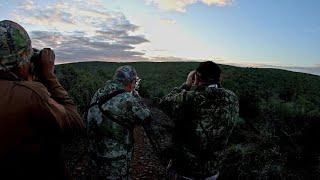 South African safari hunting with Bluecliff Safaris.