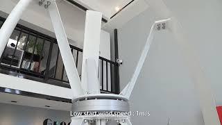 3000W Helical Design Vertical Axis Wind Turbines/ Home Wind Energy Generator