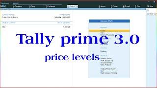 tally prime 3.0 | price level in tally prime | price list in tally prime | tally prime price list