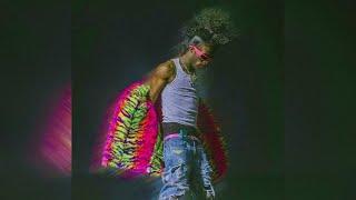 [FREE] Lil Uzi Vert x Pink Tape Type Beat 2024 "Trackstar"