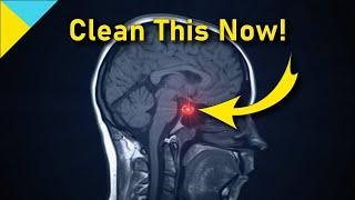 10100 Hertz: Heal Pituitary Gland  WAIT TILL 6 Mins! • Quantum Miracle Formula Frequency