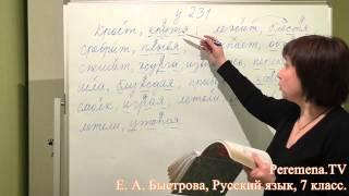 Peremena TV Русский язык, Быстрова, № 231