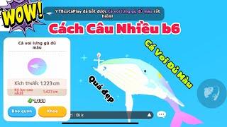 (Play Together) Cách Câu Nhiều Bóng 6 Lên Cá Voi Đủ Màu