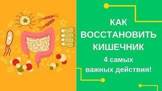  Как Восстановить Кишечник?  4 самых важных действия!