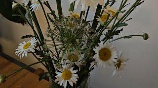 Arranging newly picked wild flowers