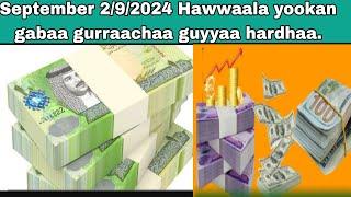 September 2/9/2024/Hawwaala yookan gabaa gurraachaa guyyaa hardhaa.