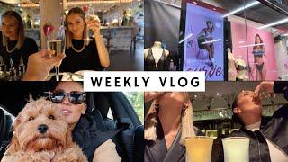 WEEKLY VLOG: We got too drunk. | Dionne Crowe