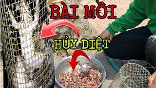 Cách Làm Mồi Đặt Lợp Ếch Mưu Sinh Mùa Lúa Chín Đơn Giản Mà Hiệu Quả Cao || Học vlog || catch frog