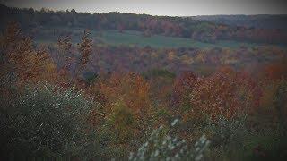 WNY's Most Haunted: The Stone Giants