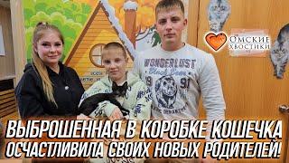 Выброшенная в коробке кошечка осчастливила своих новых родителей! | Майли