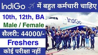 Airport में निकली भर्ती || Indigo job vacancy 2024 || airport job vacancy 2024