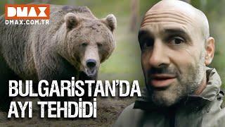 Ed, Ayı Tehdidi İle Karşı Karşıya | Ed Stafford İle Hayatta Kalmak