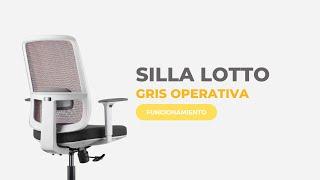 Silla Lotto Gris, adaptable a diversos pesos y alturas | Visso