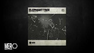 Elephant Tree - Circles (Live in Studio)