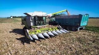 MOISSON DE MAÏS 2023 ! | CLAAS LEXION 760 | SARL TESSONNEAU (17)