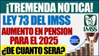 Notición para tiAumento en pensión si formas parte de la ley 73 del IMSS, mas dinero en 2025